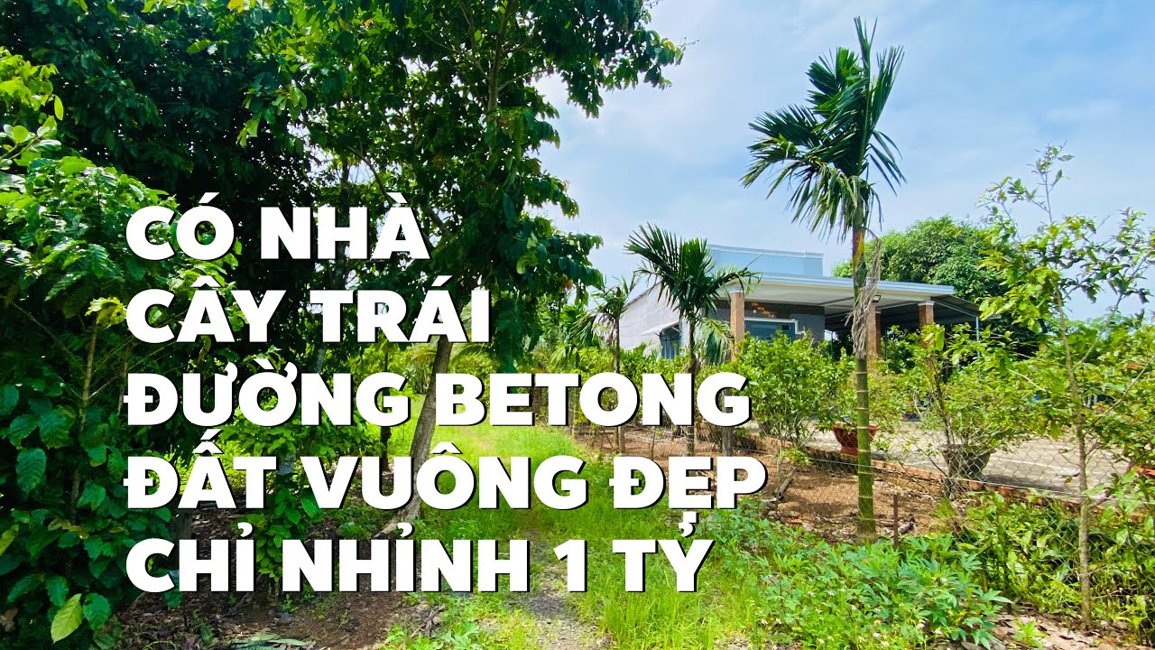 Khổ quá phải bán rẻ nhà vườn 2300m2 giá chỉ nhỉnh có hơn 1 tỷ 