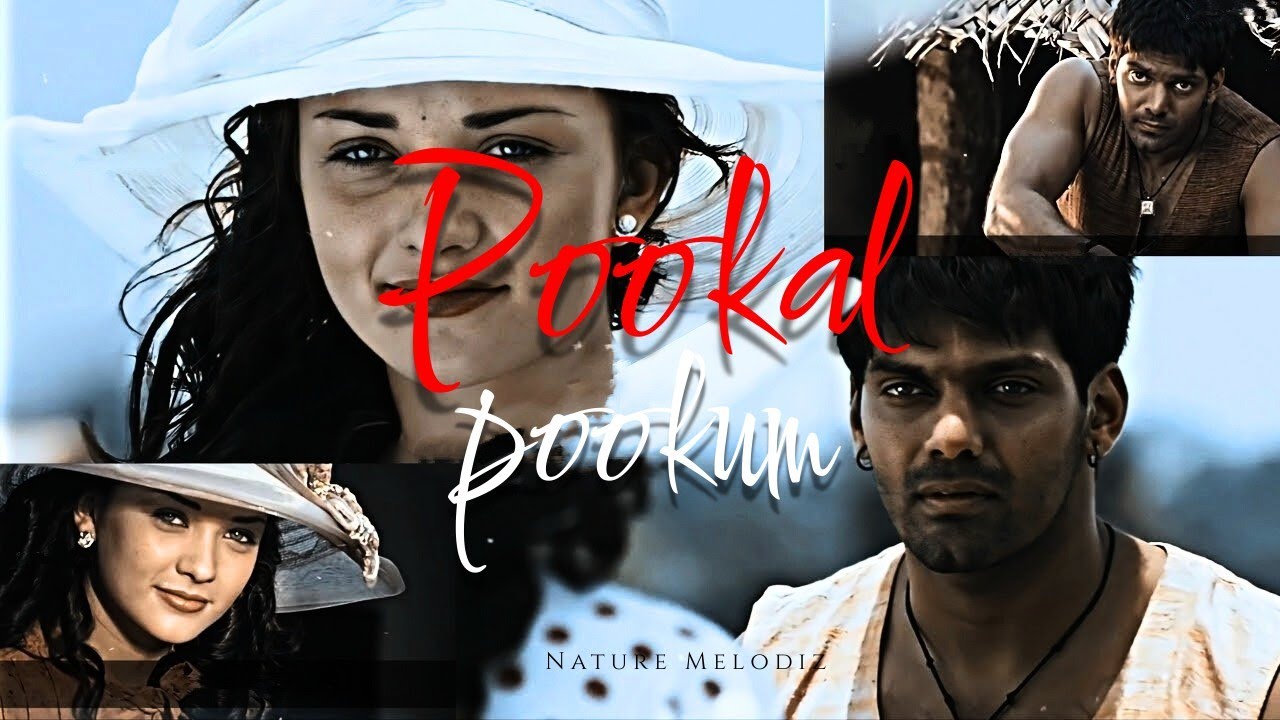 Pookal pokum bgm ❤️ | Love bgm| Bgm Ringtone| Melodic Nature|