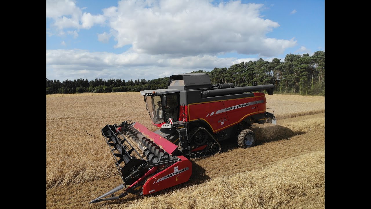 Massey Ferguson 7370 on tracks harvesting barley (MF7718 baling)