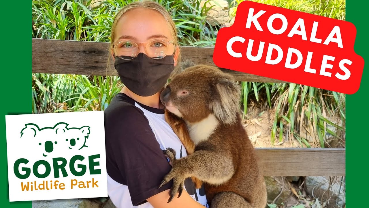 The Gorge Wildlife Park, South Australia - Hold the koalas!