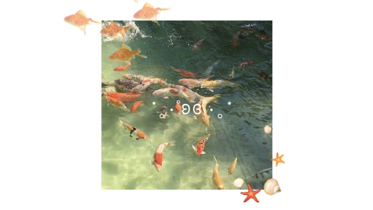 L’amore dice ciao||sped up ⋆｡‧˚ʚɞ˚‧｡⋆