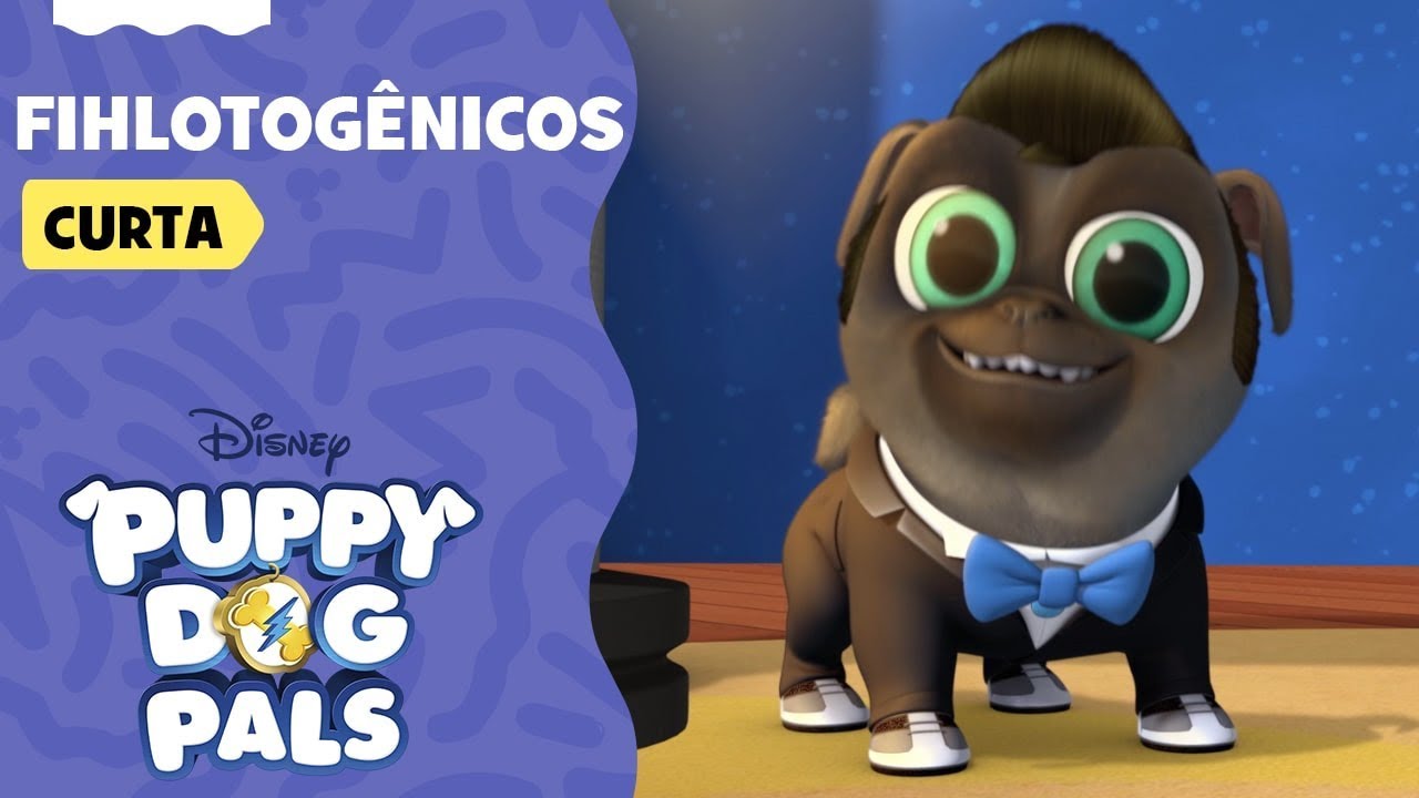 Filhotogênicos | Brincando com Bingo e Rolly | Puppy Dog Pals