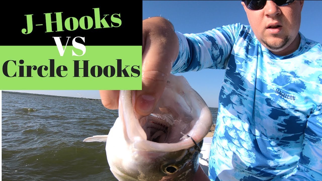 Octopus J-Style Hooks VS Octopus Circle Hooks Experiment