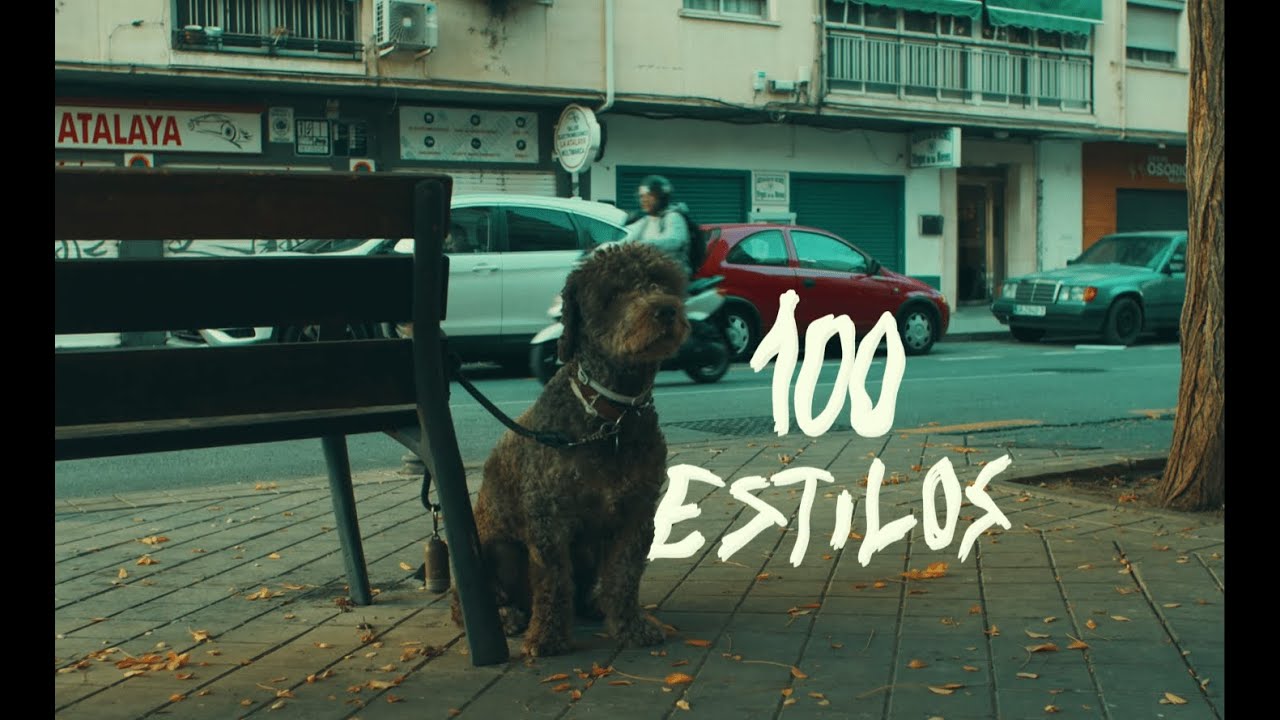 100 ESTILOS - LZO X 100$