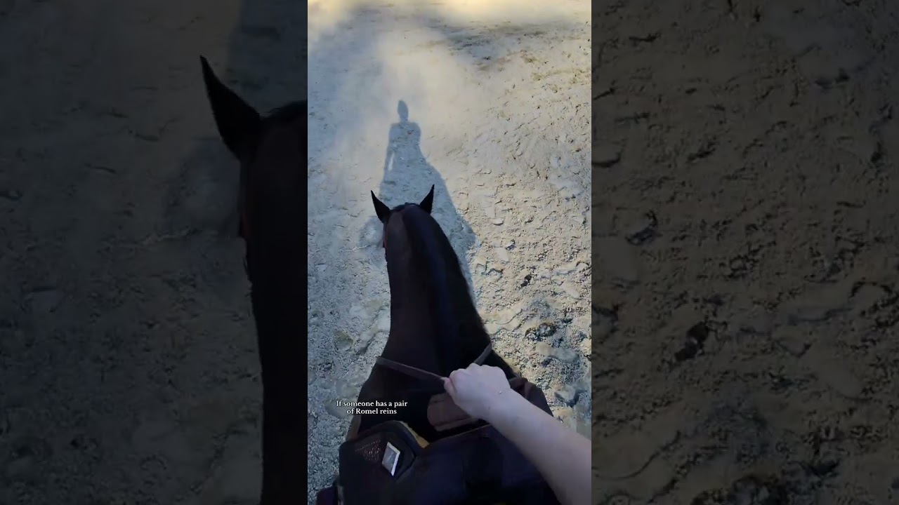 How to Hold Western Reins #shorts #equestrian #westernriding #beginnerequestrian #horse101