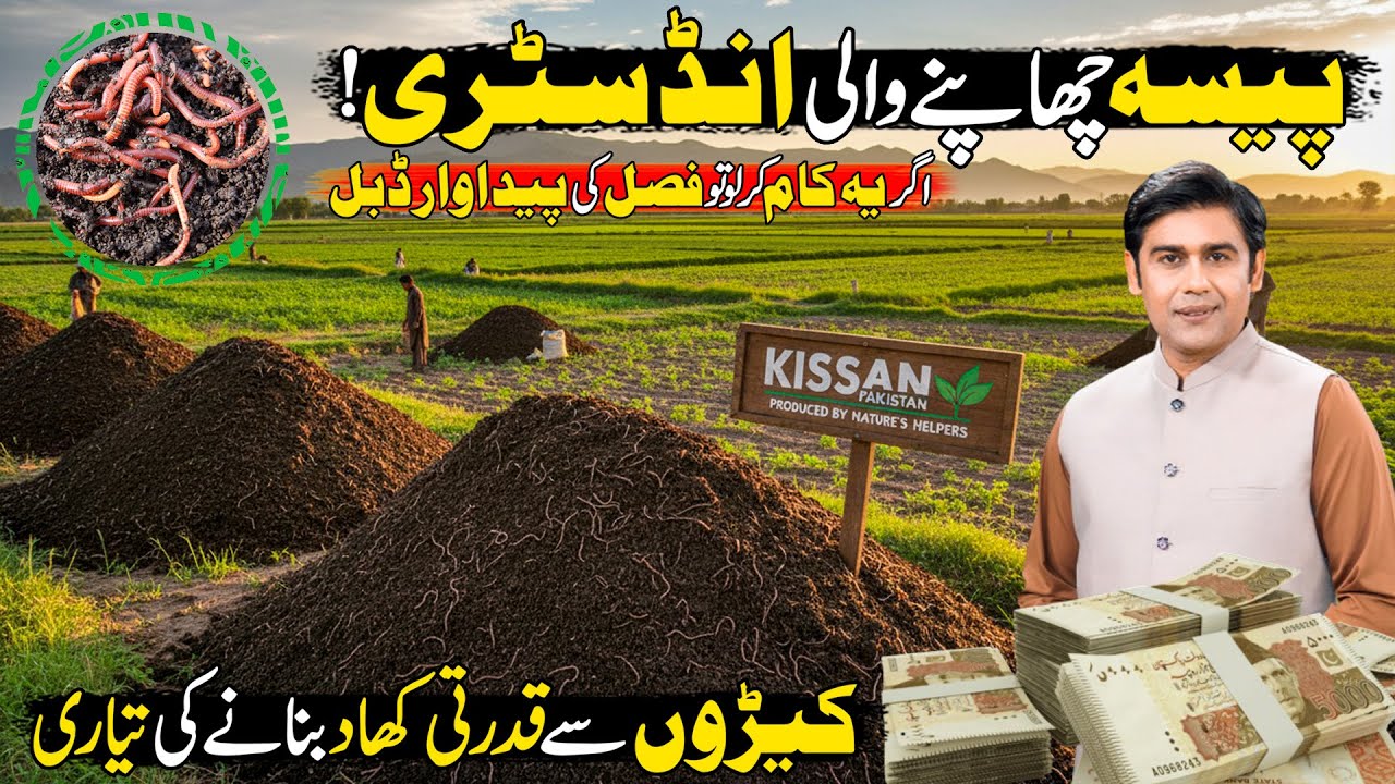 Vermicomposting Procedure in Pakistan | New Billion Dollar Industry | Kissan Ka Pakiatan