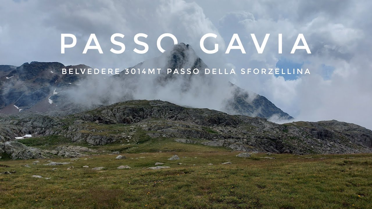 BELVEDERE 3014mt - Passo della Sforzellina - PASSO GAVIA
