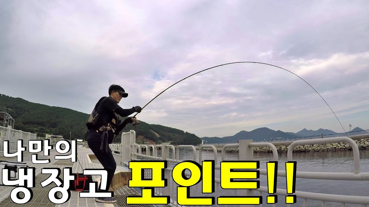 [감성돔 낚시] 등장 밑이 어둡다!! 이렇게 가까운 포인트에 다양한 어종 손맛까지!!