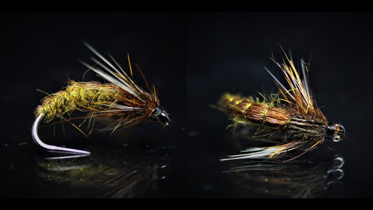 Olive Pupa by Džon Cek