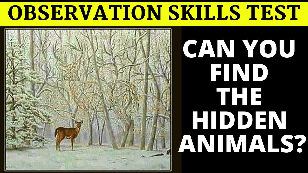 Observation Skill Test
