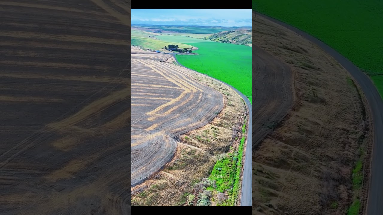 American Road Trip: Washington State
