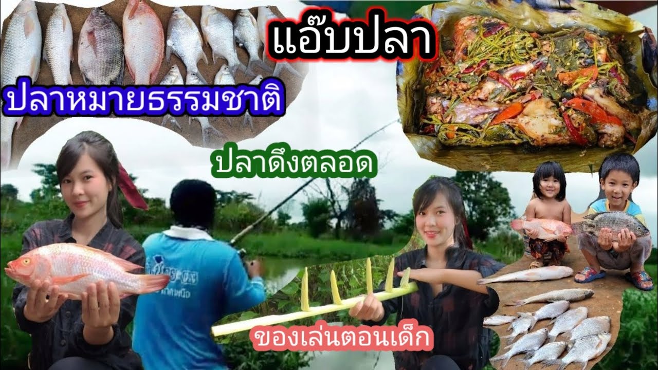 แอ๊บ​ปลา​ใบกระเจี๊ยบ​ สูตร​เด็ด​อร่อยชัวร์​ ปลาทับทิมหมายธรรมชาติ | สายรุ้ง​อา​ข่า​