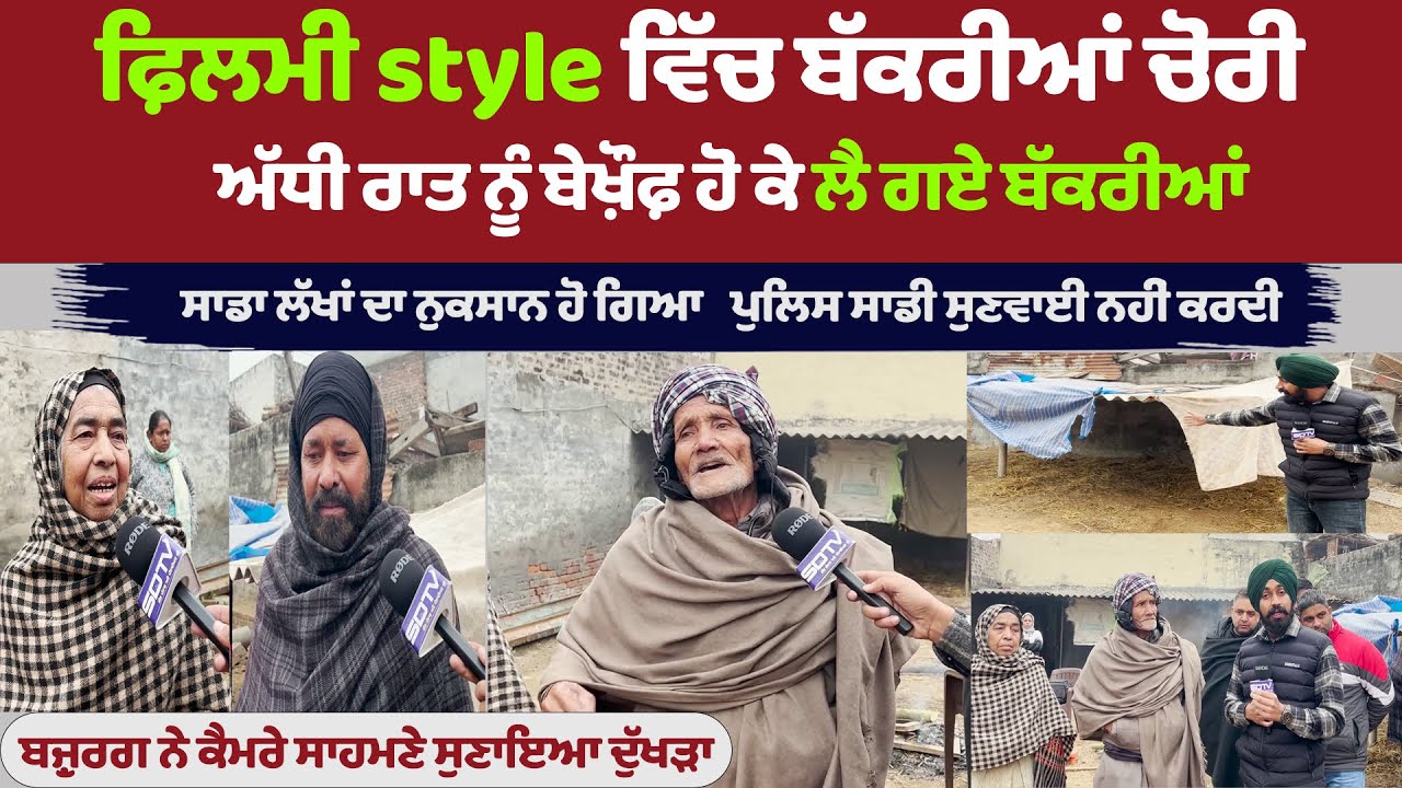 ਅੱਧੀ ਰਾਤ ਨੂੰ ਲੈ ਗਏ ਲੱਖਾਂ ਰੁਪਏ ਦੀਆਂ ਬੱਕਰੀਆਂ ਗਰੀਬ ਪਰਿਵਾਰ ਕੈਮਰੇ ਸਾਹਮਣੇ ਹੋ ਗਿਆ ਭਾਵੁਕ