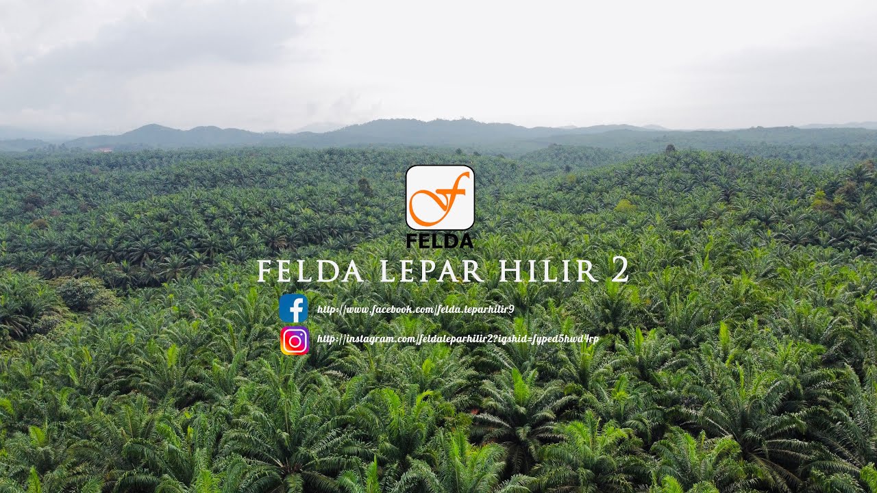 Felda Lepar Hilir 2 : Unity in Community
