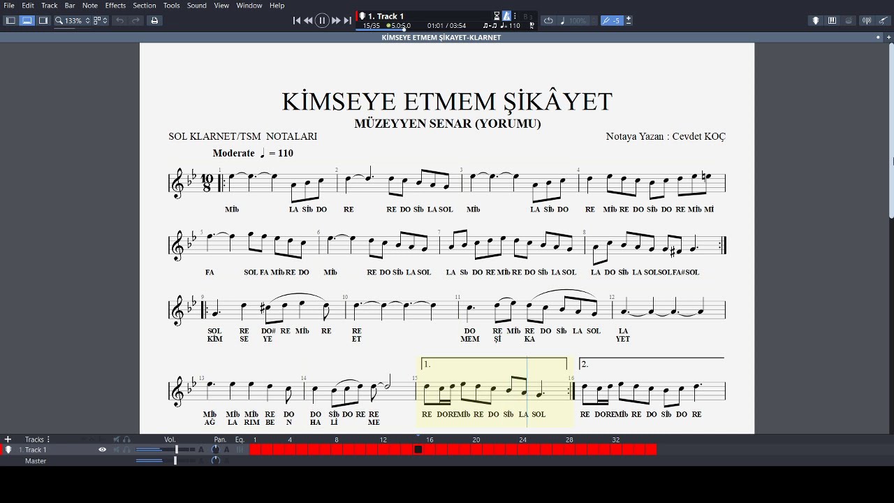 KİMSEYE ETMEM ŞİKAYET  - MÜZEYYEN SENAR NOTA
