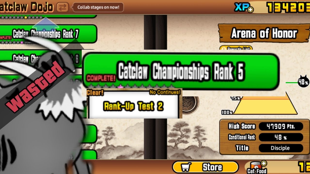 How to beat catclaw dojo championship rank 5 for newbie 