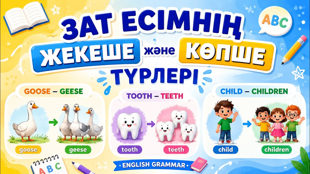 ЖЕКЕШЕ және КӨПШЕ түрдегі зат есімдер | Singular and plural nouns. 2-PART.