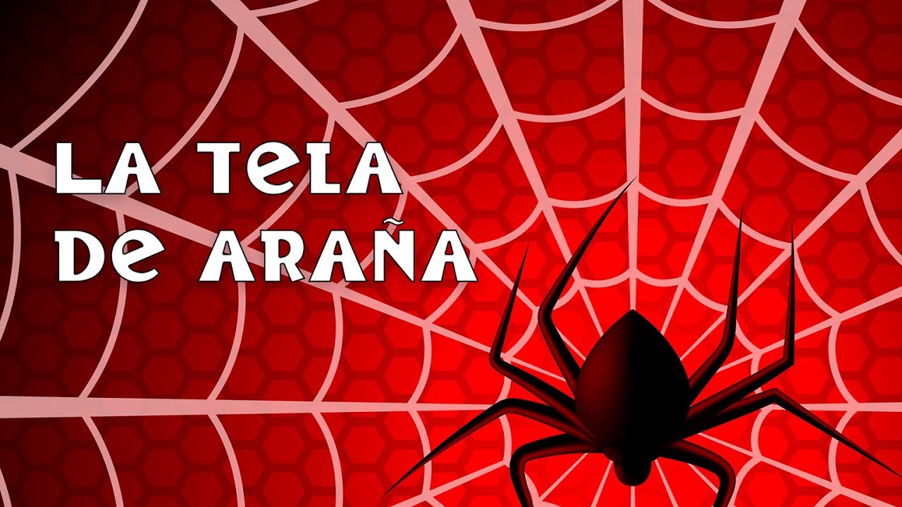 CHOCO-CAMP #3: 🕷Juego de la tela de araña 🕸 | CAMPAMENTO | HABILIDAD | SCOUT | Equipos | EXTERIOR 👍🏼