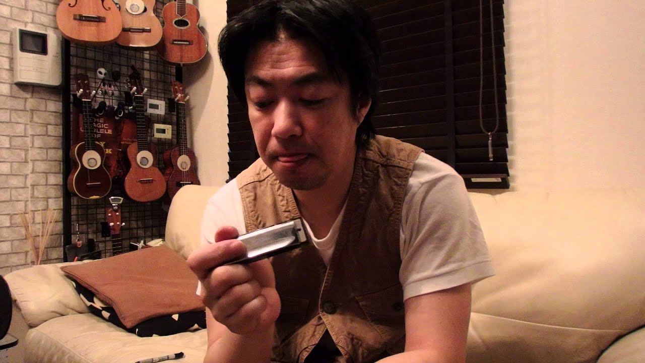 初心者のためのblues harp (sweet home chicago) tab譜付