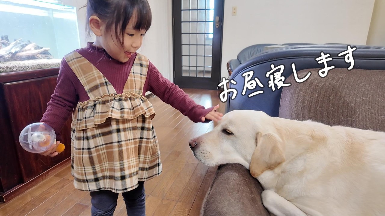 長女が孫を連れて遊びに来ていますが…【後半】です😊