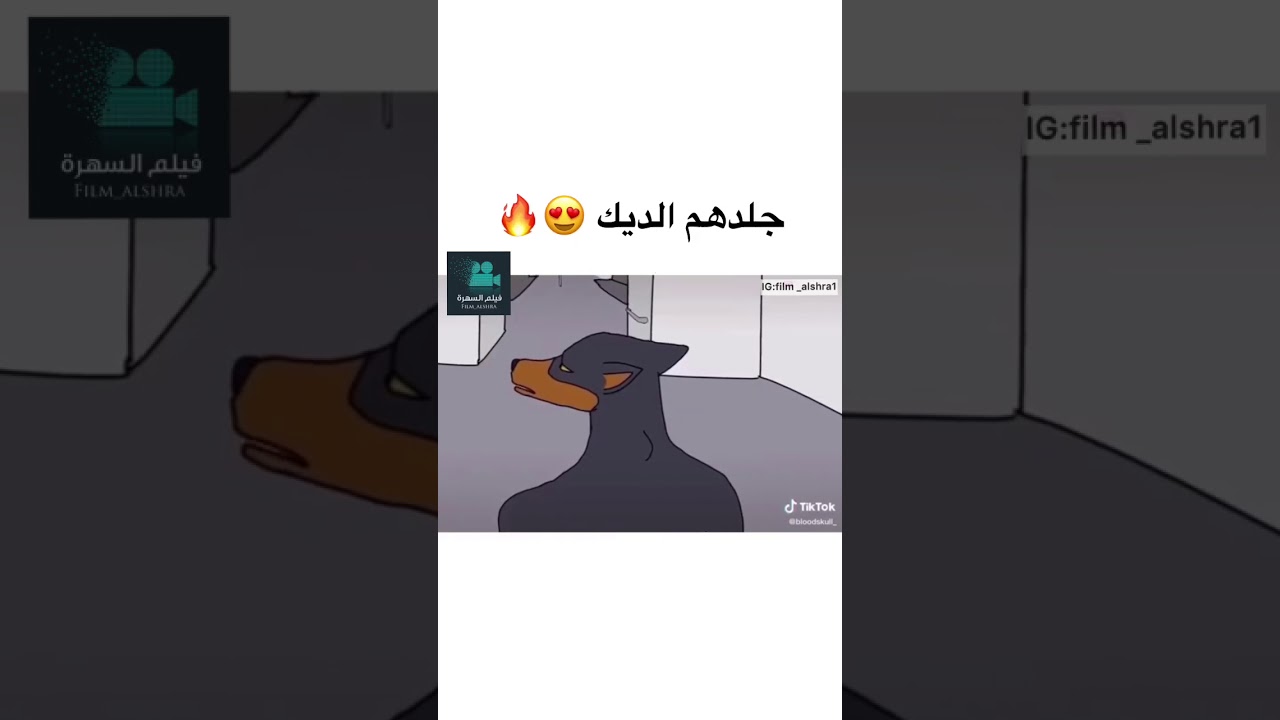 cinemana-سینمانا : short movie فيلم كارتوني قصير
