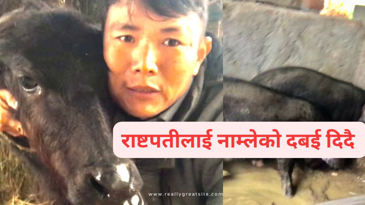 राष्टपतीलाई नाम्लेको दबई दिदै २४ December 2025
