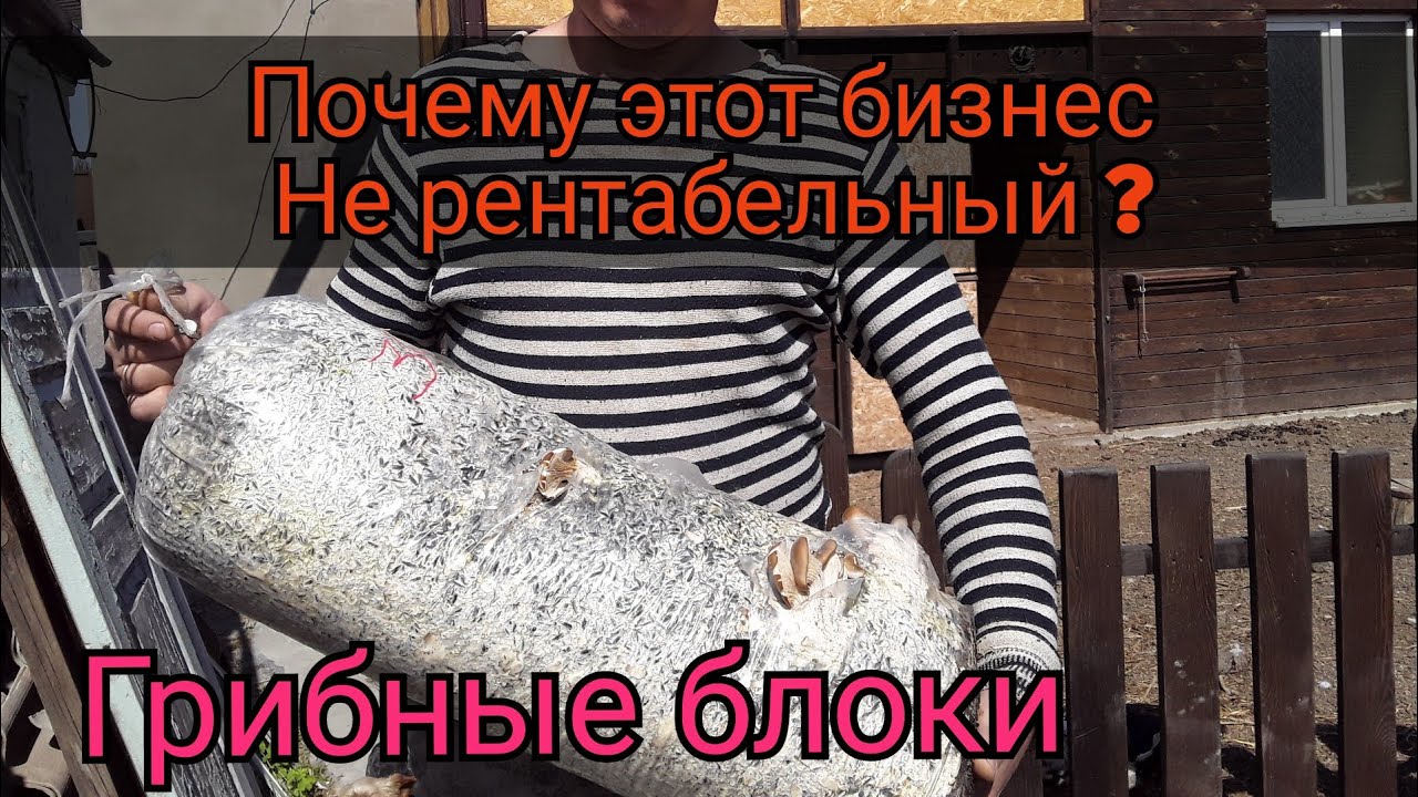 Почему этот Бизнес не Рентабельный. Расставим все точки над 