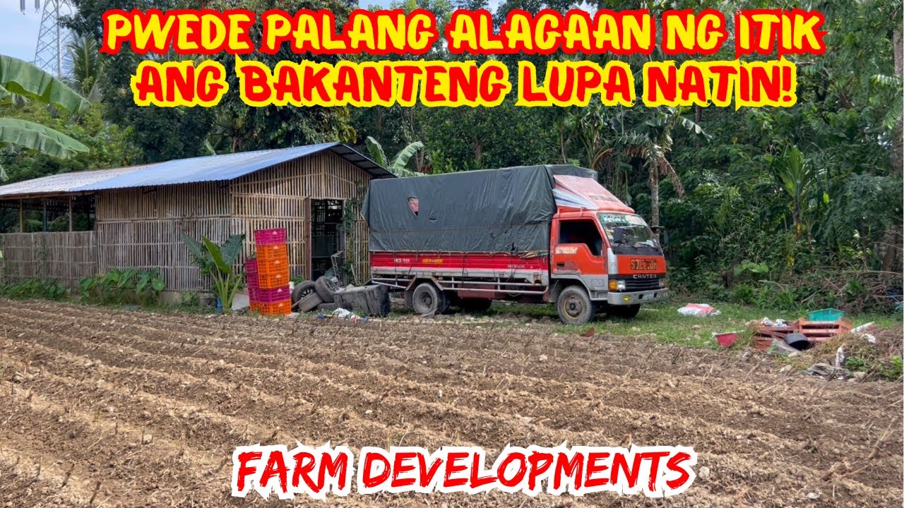 FARM DEVELOPMENTS | PWEDE PALANG ALAGAAN NG ITIK ANG BAKANTENG LUPA NATIN! | SOLLE'S GANDANG BUHAY