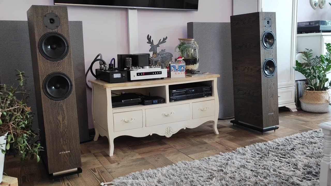 Yaqin MS-30L Upgrade SinusAudio + Pylon Audio Diamond 28, Scooter - Fire