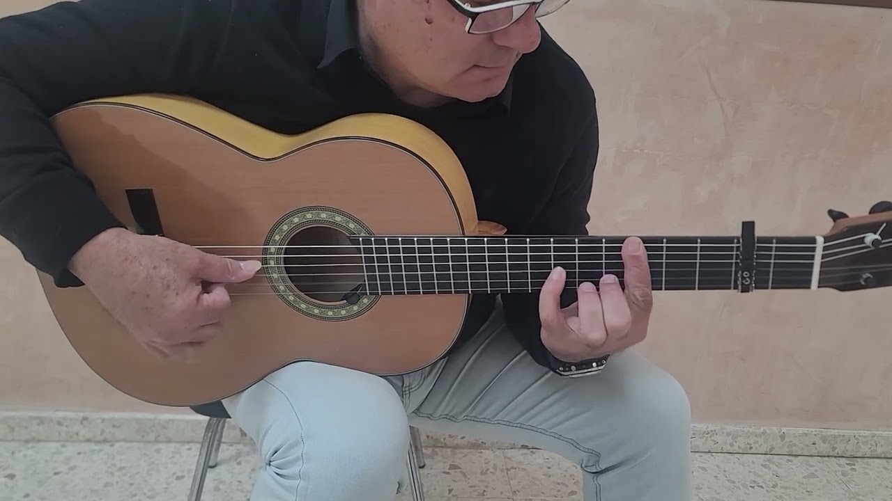Farseta   seguirilla 1