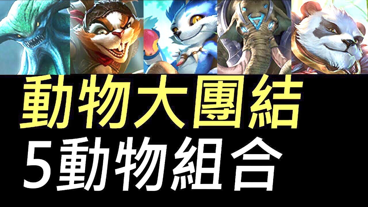 【傳說對決】5動物組合超強又可愛！全動物戰隊森林大團結！別想入侵我們森林！