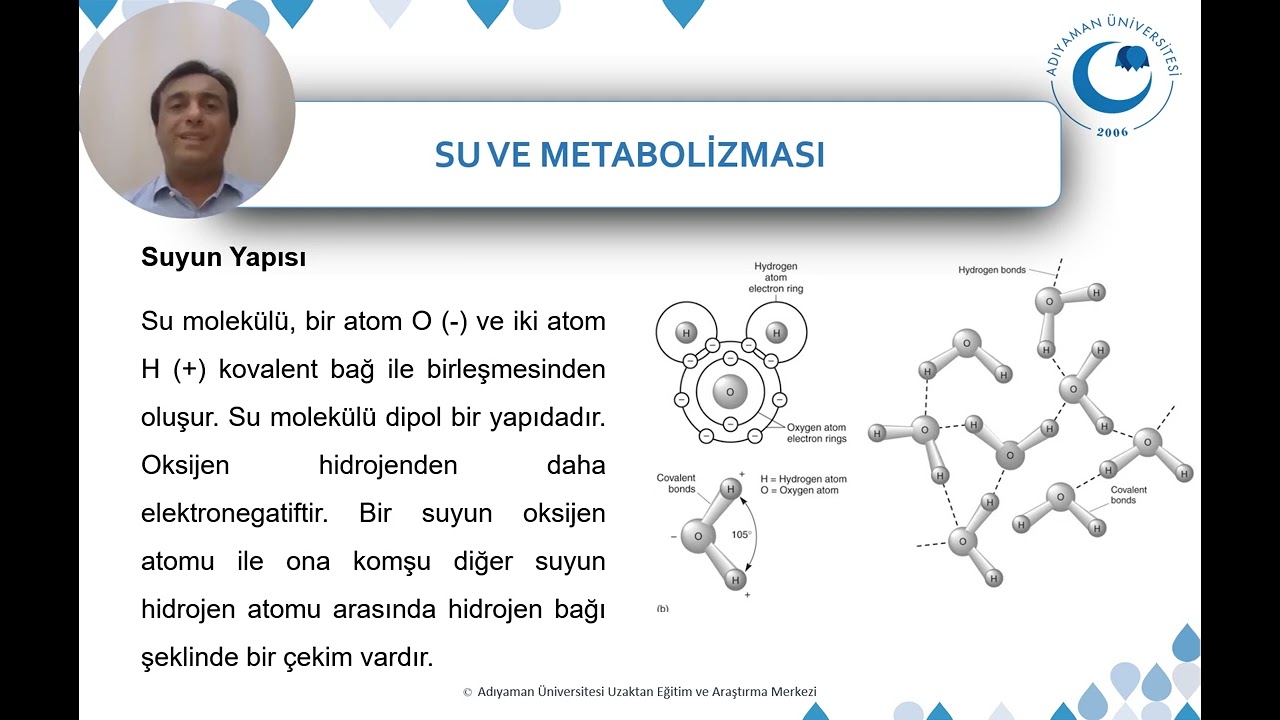 Su  ve Biyofiziksel Kimya