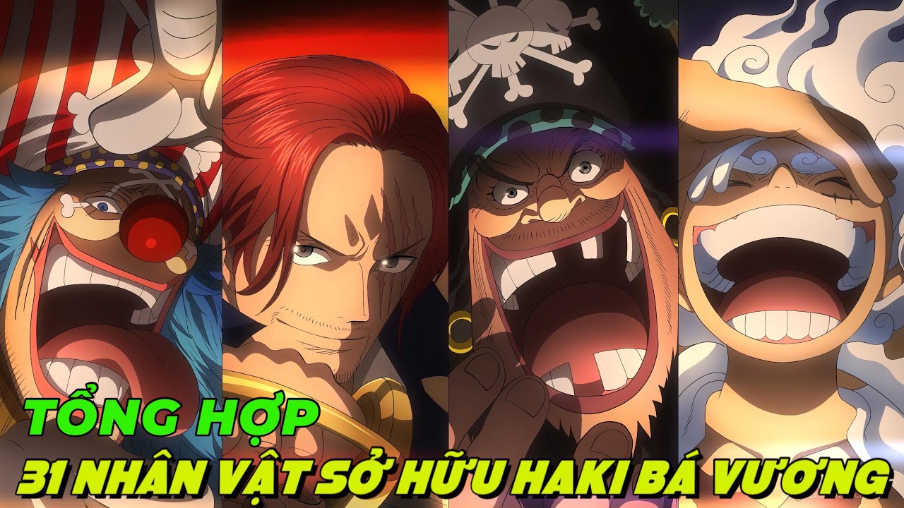 ALL IN ONE I TỔNG HỢP 31 NHÂN VẬT SỞ HỮU HAKI BÁ VƯƠNG TRONG ONE PIECE I