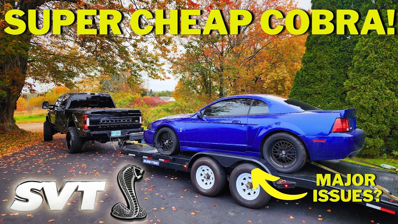 I Bought The CHEAPEST (And Worst) 2003 SVT Mustang Cobra - NEW PROJECT!!