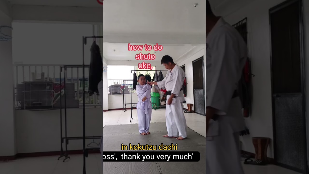 How to do shuto uke,in kokutzu dachi for begginers 