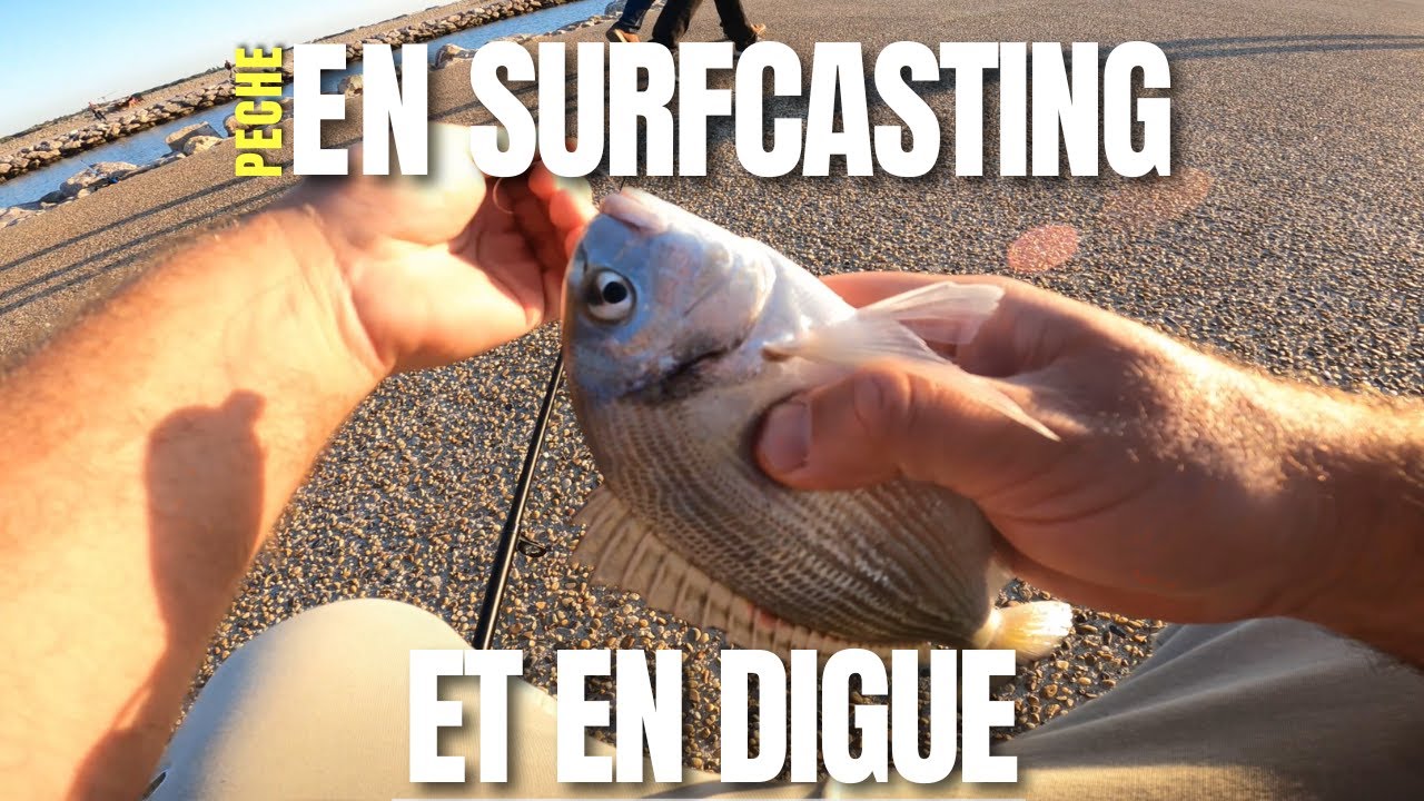 Pêche en Digue et en Surfcasting  #peche #pêche #surfcasting #fishing