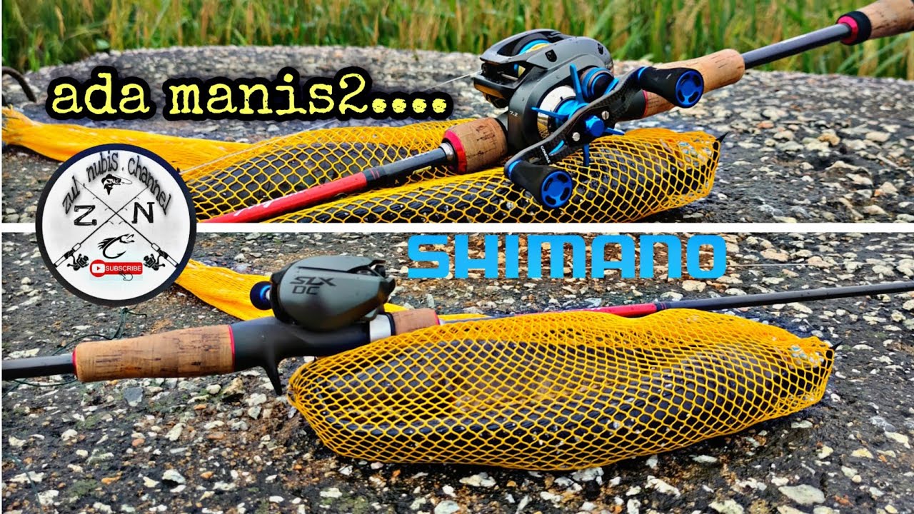 Day 1 - haruan | gabus bendang | slx dc 71hg upgrade drag clicker ✅