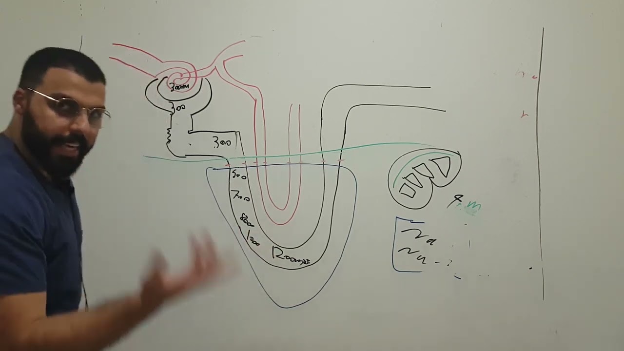 counter current mechanism system