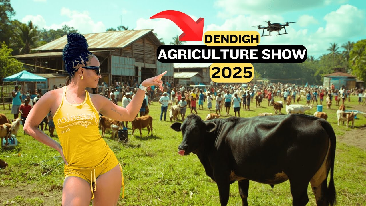 Denbigh Agricultural Show 2025 - All There is To Know