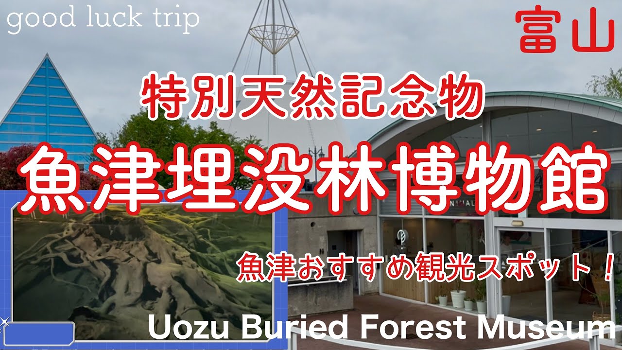 【富山観光・魚津埋没林博物館】魚津おすすめの観光スポット！富山湾の不思議を見て触れて体感！🌟