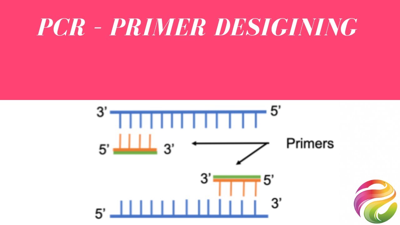 PCR – PRIMER DESIGNING - Bioinformatics