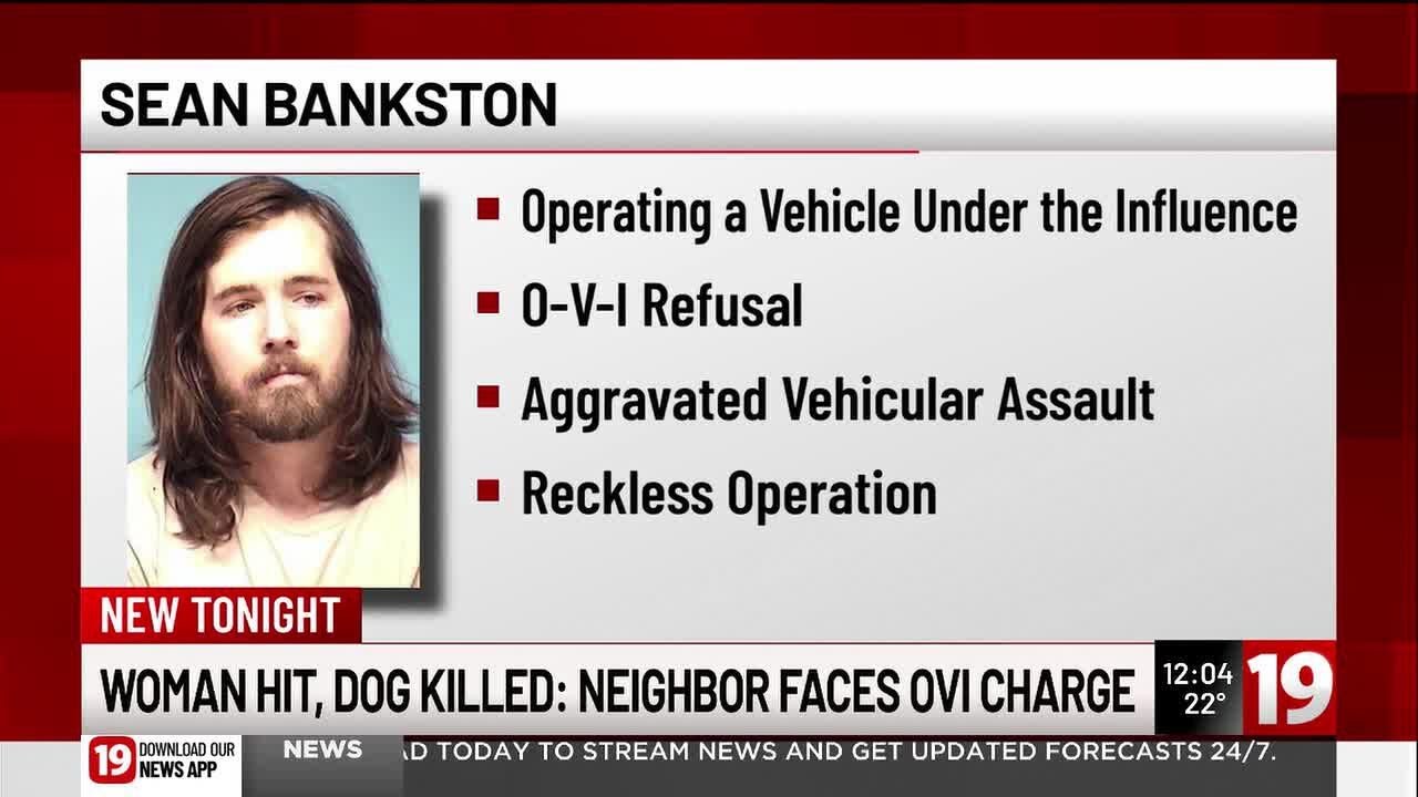 Woman hit, dog killed: Neighbor facing OVI charges