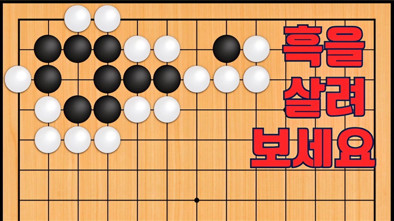 바둑 묘수 사활 - 배포있는 묘수가 나옵니다. 흑을 살려보세요