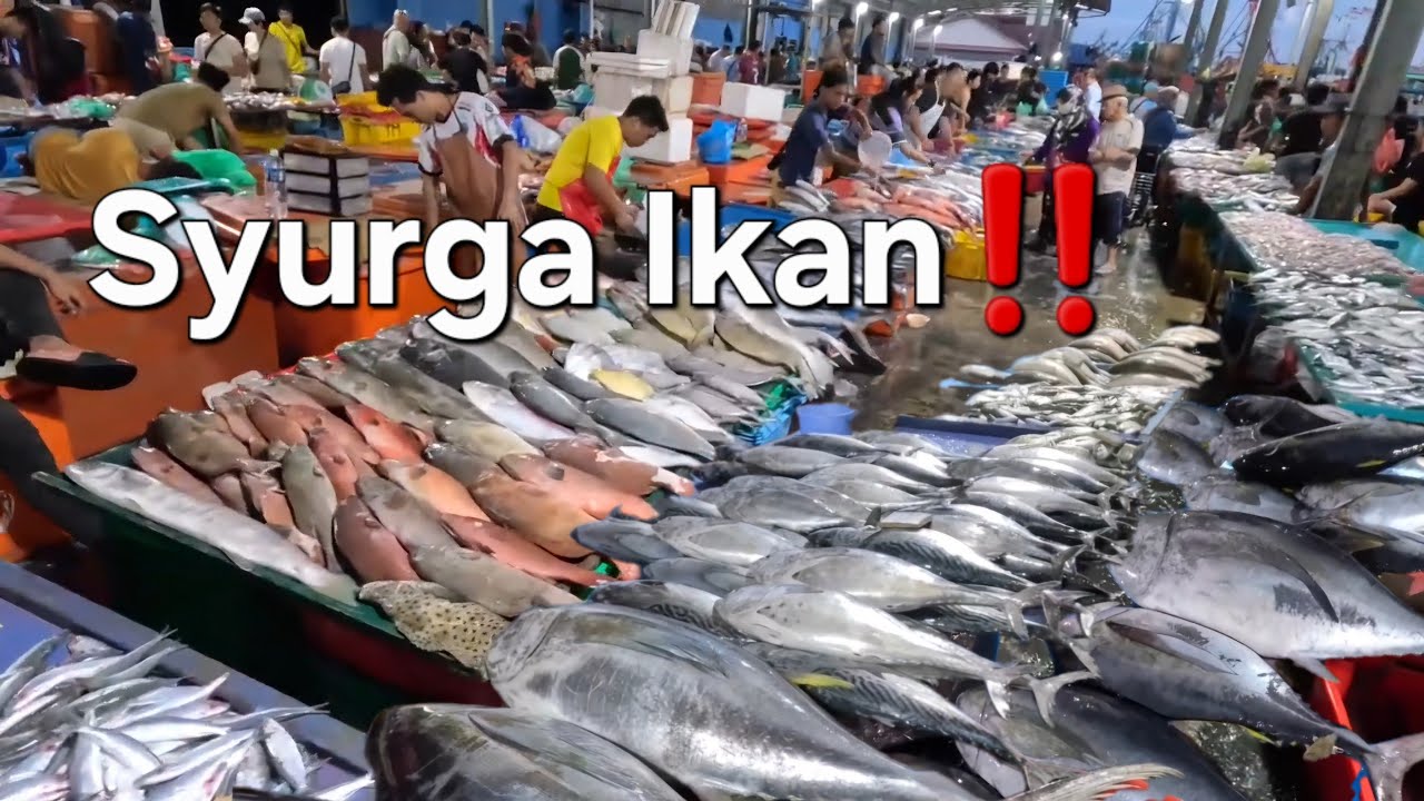 Exploring SAFMA FISH MARKET Kota Kinabalu Sabah📢Let's go‼️