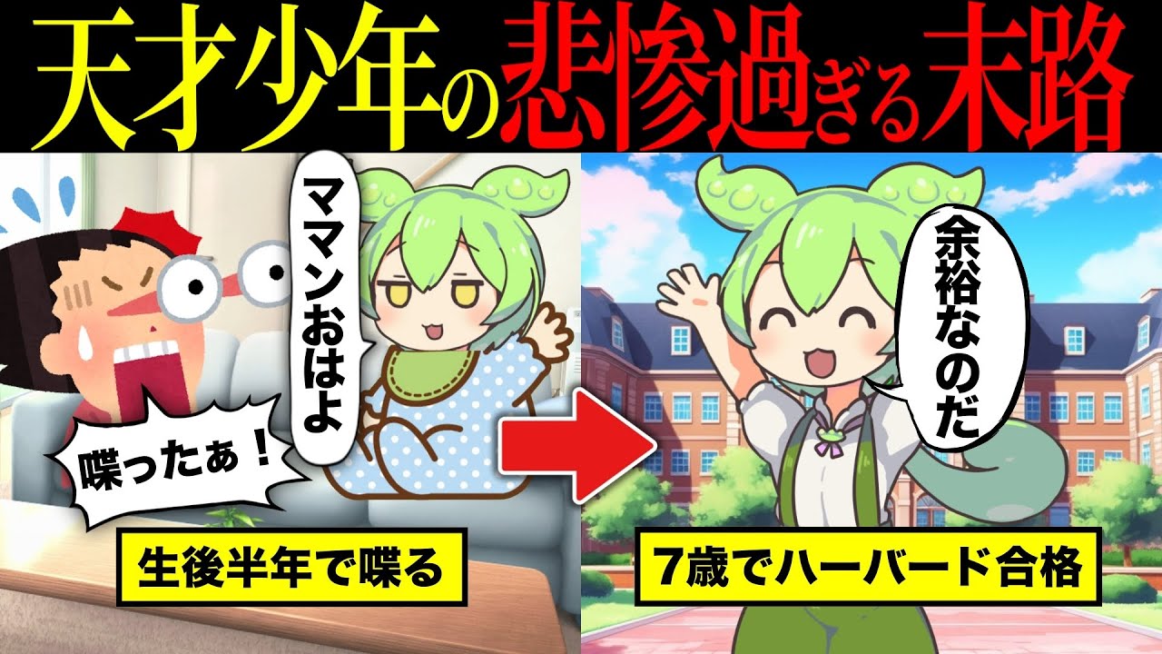 【実話】7歳でハーバード大学に合格した少年... 天才すぎて精神を病む。【ずんだもん&ゆっくり解説】【総集編】