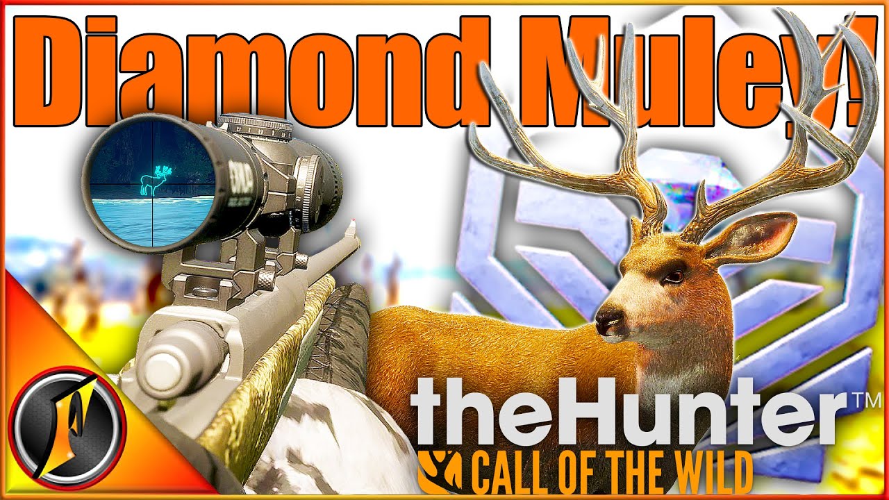 DIAMOND Muley с НОВЫМ прицелом! | theHunter Call of the Wild
