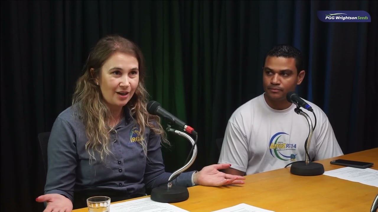 FALANDO EM PASTAGENS EP: 04. Os desafios atrelados ao aumento de produtividade em terras baixas
