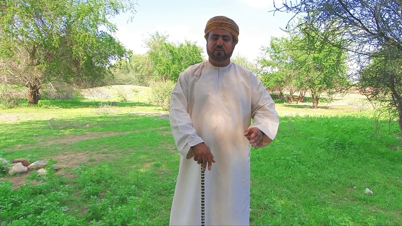 دور السيدة موزة بنت  الإمام أحمد، في تنصيب السيد سعيد بن سلطان حاكما يرويها لكم احمد بن سعيد البادي