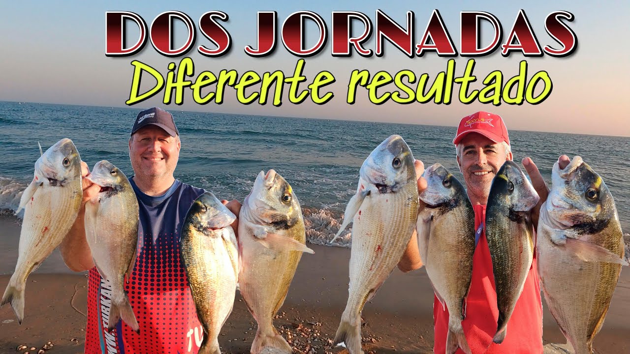 PESCA SURFCASTING DOS JORNADAS DE DORADAS DISTINTOS RESULTADOS