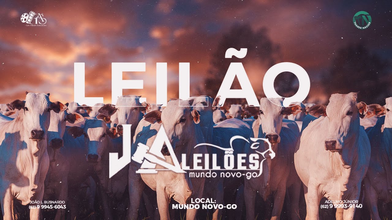 J A LEILÕES - MUNDO NOVO - GO  - 15/10/2024